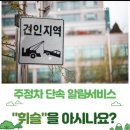 주정차-37 이미지