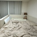 성심전기조명