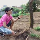 아리랑시네 미디어센터 이미지