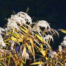 검산리_마을진입로_063 | 고창 여행지 코스 갈만한곳 | 도솔산 선운사 | 전북 가볼만한곳