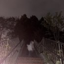 별내동44통(위스테이) | 남양주 별내 | 서울근교 브런치 맛집 드라이브 하기 좋은 대형 별내카페 이구동성로스터리카페