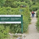 클론다이크 이미지