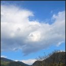 송광사&벚꽃길 | 순천 송광사, 선암사,낙안읍성