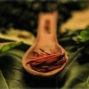 편안한몸한의원 이미지