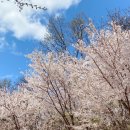 연세인정신건강의학과의원 이미지