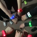 온천천시민공원 동백 이미지