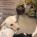 유로펜션 이미지