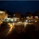 타피올라 이미지