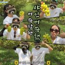 고산농협웰컴센터 | NH농협은행 대학생봉사단 N돌핀 13기 합격 후기&amp;활동 수기(feat.팀장이 낋여주는. .)