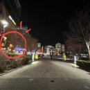 호맥 정관점 이미지