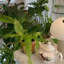 더하우스113(The house 113) 이미지