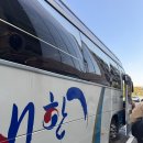 댕데이지 | [경기, 광주] 가을을 즐기고 싶다면 ‘화담숲’ 11월 1일 단풍 현황 🍂🍁, 최미자소머리국밥 후기