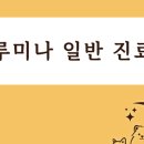 루미나플레이스