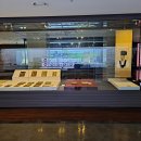 부경대학교박물관 이미지