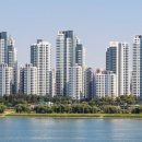 강남시장(6) 이미지