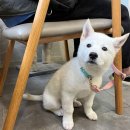 운정한빛동물병원 이미지