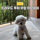 애견호텔 나무야 | 프라우드 푸 파 무앙 치앙마이 애견동반 호텔 럭셔리 스위트 룸 후기