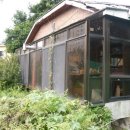 신산리-5 네이버블로그