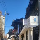 로코 스테이 이미지