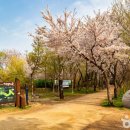 골든튤립인천에어포트호텔 이미지