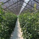 오길농장 이미지