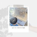 4살아이와 서대문 자연사 박물관 재방문 🐝