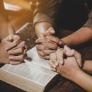 위량초교 이미지