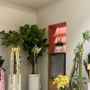 퀸즈피부과의원 | 성동구피부과 리쥬란/물광주사로 새해 피부관리 스타트