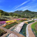 내미로리 이미지