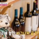 파이집 이미지