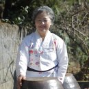 조이당 영농조합법인 이미지