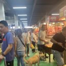 전의재래시장 이미지