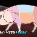 정직한정육점 이미지
