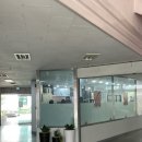 호랑우동 이미지