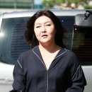 파리의상실 이미지