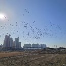 오산4리 이미지