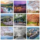 꽃지가는길 | 태안 원예박람회 여행코스, 안면도수목원과 꽃지 노을까지 딱 좋아요