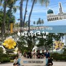 (주)씨엘국제여행사 | (주)씨엠씨엘 10주년 창립기념일 해외워크샵 말레이시아 코타키나발루 3박 5일 후기🌴