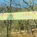 향아농원 이미지
