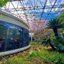 핏츠(PITS) 이미지