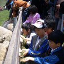 동막골목장 이미지