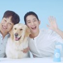 해인광고 이미지