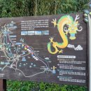 하나교 생태통로 앞 | [아이랑같이울산여행]2일차 울산여행코스(대왕암공원 출렁다리,고래박물관,고래생태체험관,그릿비카페)