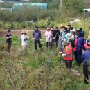 간식 텃밭 만들기 이미지