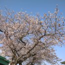 더럭초등학교 이미지