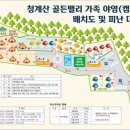 골든오토 이미지