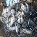 보성강8 이미지