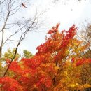 웃냇물펜션 이미지