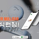 멀리건골프 이미지