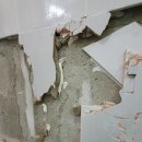 꿈에그린1차아파트 이미지